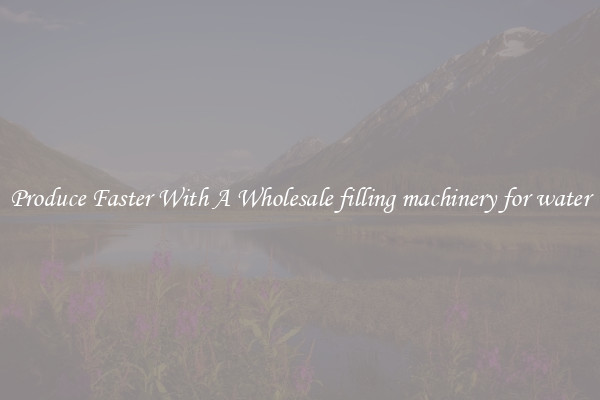 Produce Faster With A Wholesale filling machinery for water