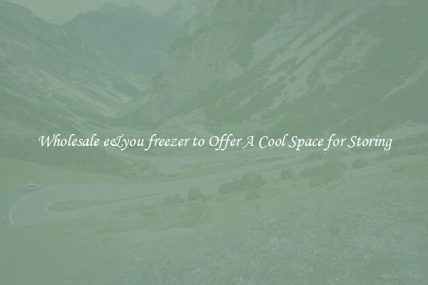 Wholesale e&you freezer to Offer A Cool Space for Storing