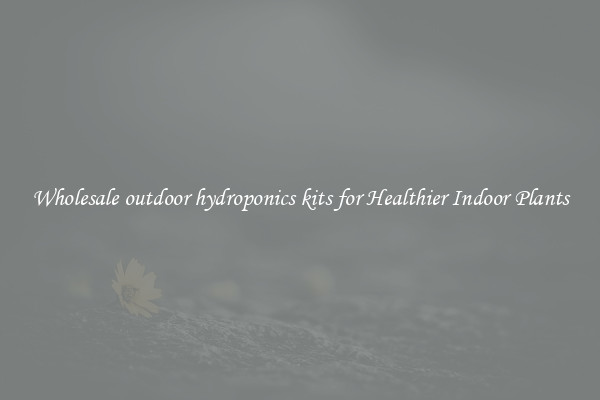 Wholesale outdoor hydroponics kits for Healthier Indoor Plants