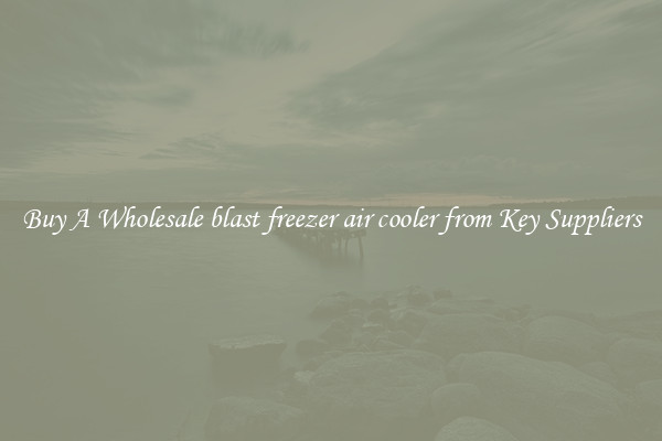 Buy A Wholesale blast freezer air cooler from Key Suppliers