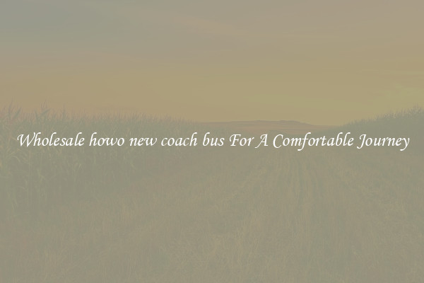 Wholesale howo new coach bus For A Comfortable Journey