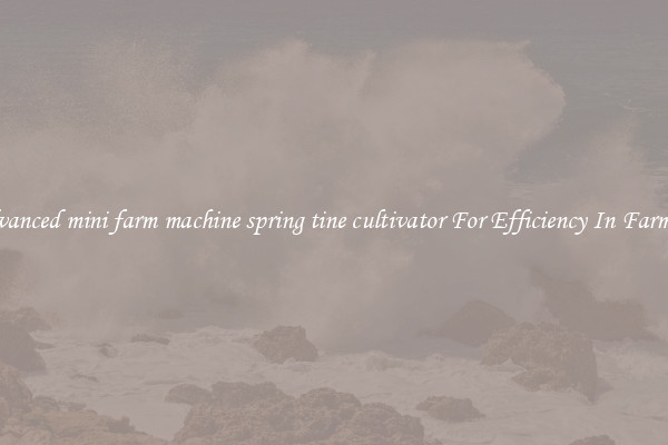 Advanced mini farm machine spring tine cultivator For Efficiency In Farming