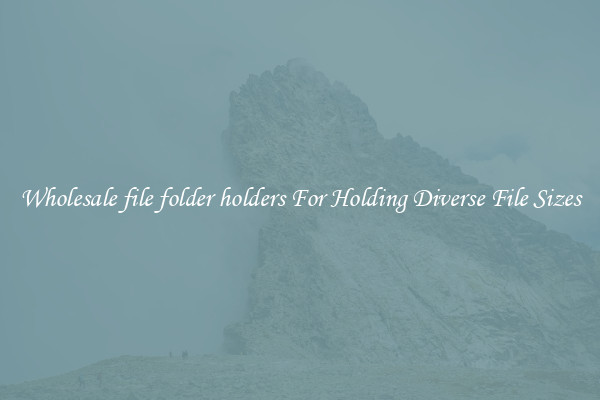 Wholesale file folder holders For Holding Diverse File Sizes
