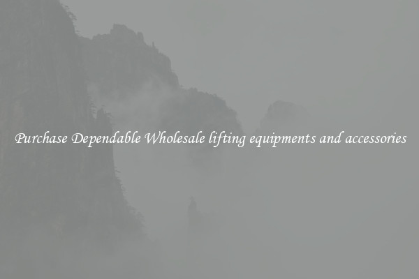 Purchase Dependable Wholesale lifting equipments and accessories