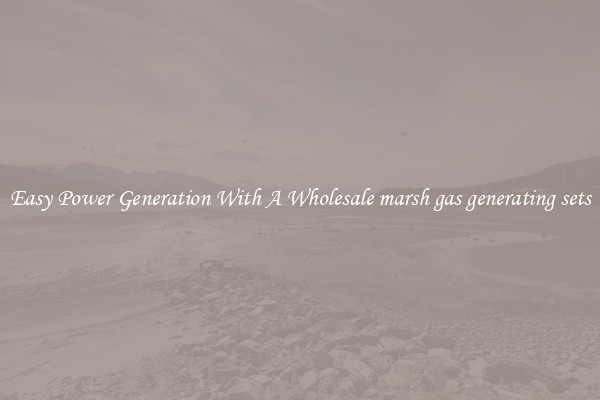 Easy Power Generation With A Wholesale marsh gas generating sets