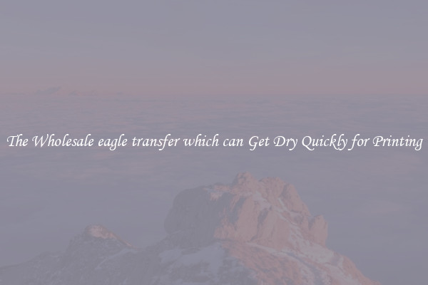 The Wholesale eagle transfer which can Get Dry Quickly for Printing