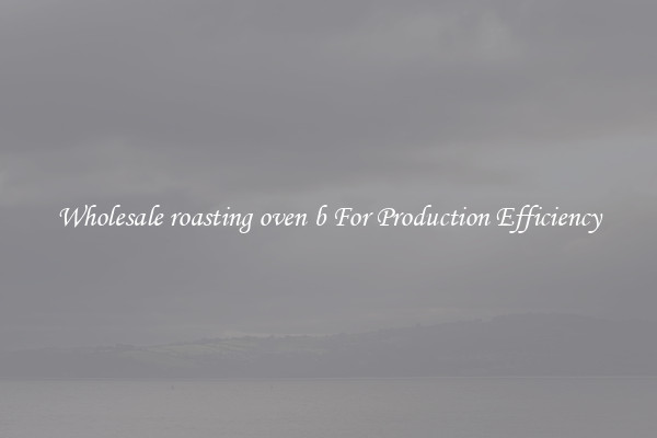 Wholesale roasting oven b For Production Efficiency