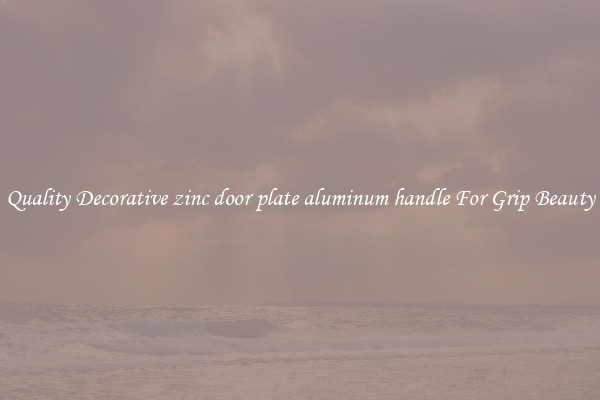 Quality Decorative zinc door plate aluminum handle For Grip Beauty