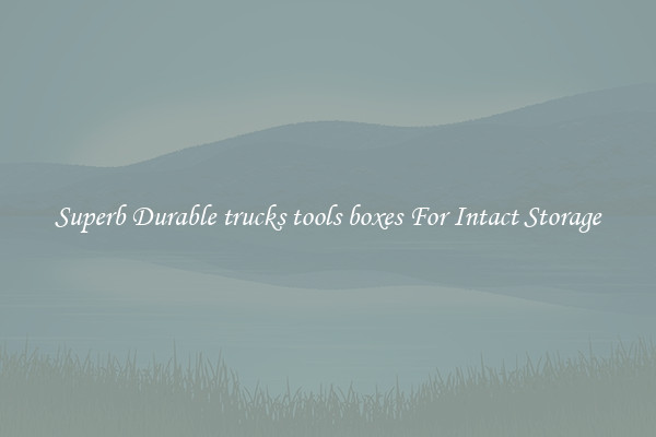 Superb Durable trucks tools boxes For Intact Storage