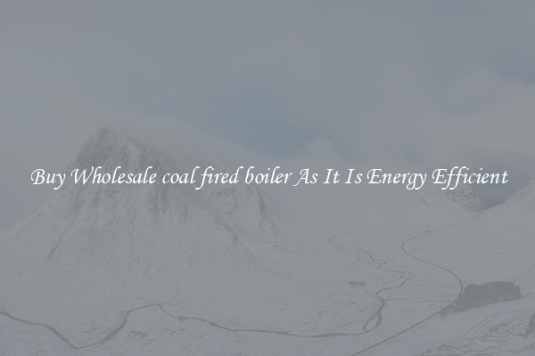 Buy Wholesale coal fired boiler As It Is Energy Efficient
