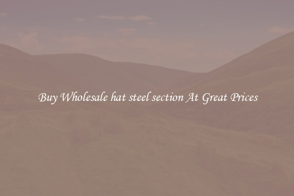 Buy Wholesale hat steel section At Great Prices
