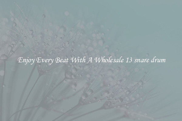 Enjoy Every Beat With A Wholesale 13 snare drum
