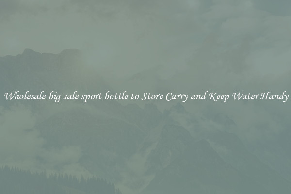 Wholesale big sale sport bottle to Store Carry and Keep Water Handy